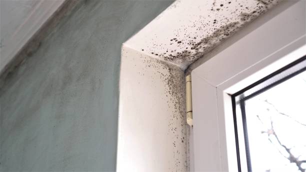 Water Damage Restoration in Monterey, TN