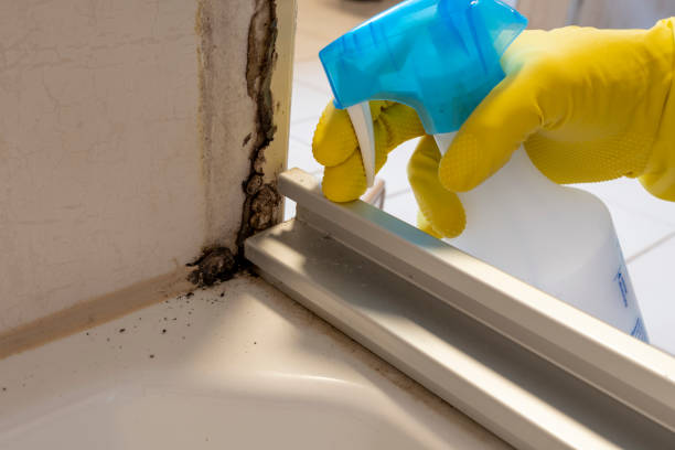 Certified Mold Removal in Monterey, TN