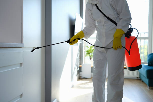 Best Local Mold Removal Service  in Monterey, TN