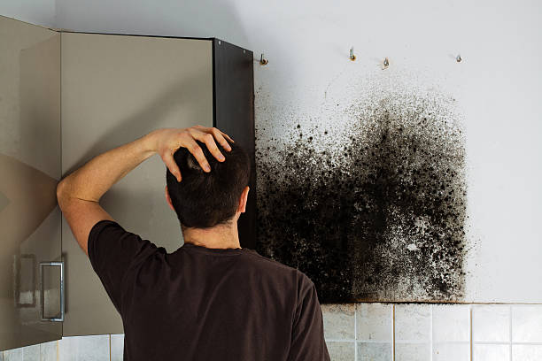 Best Crawl Space Mold Removal  in Monterey, TN